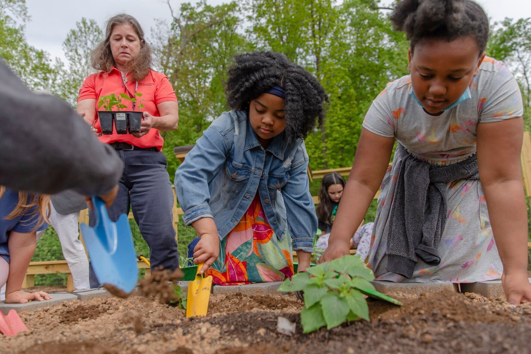 20220505-cdp-news-Greer School Garden Project4.jpg